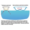 COIL Folia solarna podwójny pęcherzyk niebiesko-srebrna grubość 500 mikronów szerokość 5m