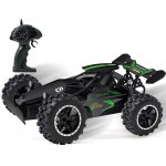 COIL Zdalnie sterowany samochód auto RC 4x4 pilot terenowy duży na pilota Buggy 1:18