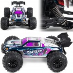 COIL Zdalnie sterowany samochód auto RC 4x4 terenowe na pilota duże skala 1:16 Rapidly purple