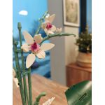 COIL Klocki konstrukcyjne zestaw kwiaty kwiat orchidea w doniczce 728 el.